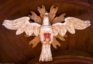 Heidelberg - Heiliggeistkirche - Kanzel - Symbol "Heiliger Geist" im Deckel der Kanzel (aufgenommen im November 2013, am späten Nachmittag) Heidelberg - Heiliggeistkirche - Kanzel - Symbol "Heiliger Geist" im Deckel der Kanzel (aufgenommen im November 2013, am späten Nachmittag)
