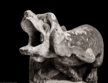 Heidelberg - Heiliggeistkirche - Nordempore - Wasserspeier, im Eingangsbereich an der Westwand der Nordempore (aufgenommen im Januar 2014, am frühen Nachmittag) Heidelberg - Heiliggeistkirche - Nordempore - Wasserspeier, im Eingangsbereich an der Westwand der Nordempore (aufgenommen im Januar 2014, am frühen Nachmittag)