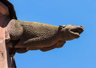 Heidelberg - Heiliggeistkirche - Dach - Südseite - Blick von Osten auf den 5. Wasserspeier, von Westen aus gezählt (Bild horizontal GESPIEGELT) (aufgenommen im Juni 2015, um die Mittagszeit) Heidelberg - Heiliggeistkirche - Dach - Südseite - Blick von Osten auf den 5. Wasserspeier, von Westen aus gezählt (Bild horizontal GESPIEGELT) (aufgenommen im Juni 2015, um die Mittagszeit)