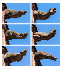 Heidelberg - Heiliggeistkirche - Dach - Südseite - v.l.n.r., v.o.n.u.: 5. und 1. bis 5. Wasserspeier, von Westen aus gezählt, von Westen aus gesehen, bis auf Wasserspeier oben links, dieser von OSTEN aus gesehen und horizontal GESPIEGELT (aufgenommen im Juni 2015, am Nachmittag) Heidelberg - Heiliggeistkirche - Dach - Südseite - v.l.n.r., v.o.n.u.: 5. und 1. bis 5. Wasserspeier, von Westen aus gezählt, von Westen aus gesehen, bis auf Wasserspeier oben links, dieser von OSTEN aus gesehen und horizontal GESPIEGELT (aufgenommen im Juni 2015, am Nachmittag)