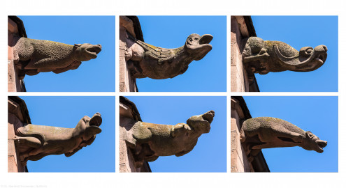 Heidelberg - Heiliggeistkirche - Dach - Südseite - v.l.n.r., v.o.n.u.: 5. und 1. bis 5. Wasserspeier, von Westen aus gezählt, von Westen aus gesehen, bis auf Wasserspeier oben links, dieser von OSTEN aus gesehen und horizontal GESPIEGELT (aufgenommen im Juni 2015, am Nachmittag) Heidelberg - Heiliggeistkirche - Dach - Südseite - v.l.n.r., v.o.n.u.: 5. und 1. bis 5. Wasserspeier, von Westen aus gezählt, von Westen aus gesehen, bis auf Wasserspeier oben links, dieser von OSTEN aus gesehen und horizontal GESPIEGELT (aufgenommen im Juni 2015, am Nachmittag)