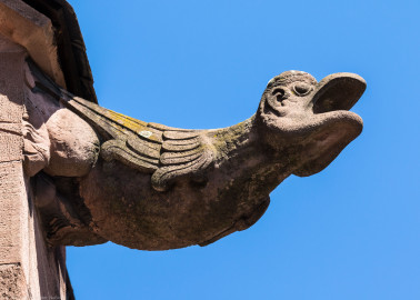 Heidelberg - Heiliggeistkirche - Dach - Südseite - Blick von Westen auf den 1. Wasserspeier, von Westen aus gezählt (aufgenommen im Juni 2015, am Nachmittag) Heidelberg - Heiliggeistkirche - Dach - Südseite - Blick von Westen auf den 1. Wasserspeier, von Westen aus gezählt (aufgenommen im Juni 2015, am Nachmittag)