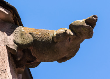 Heidelberg - Heiliggeistkirche - Dach - Südseite - Blick von Westen auf den 4. Wasserspeier, von Westen aus gezählt (aufgenommen im Juni 2015, am Nachmittag) Heidelberg - Heiliggeistkirche - Dach - Südseite - Blick von Westen auf den 4. Wasserspeier, von Westen aus gezählt (aufgenommen im Juni 2015, am Nachmittag)