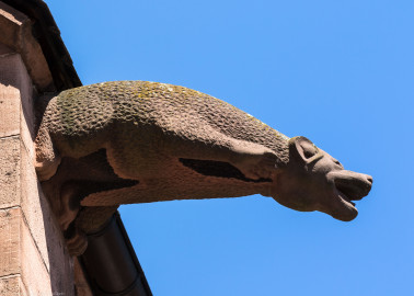Heidelberg - Heiliggeistkirche - Dach - Südseite - Blick von Westen auf den 5. Wasserspeier, von Westen aus gezählt (aufgenommen im Juni 2015, am Nachmittag) Heidelberg - Heiliggeistkirche - Dach - Südseite - Blick von Westen auf den 5. Wasserspeier, von Westen aus gezählt (aufgenommen im Juni 2015, am Nachmittag)