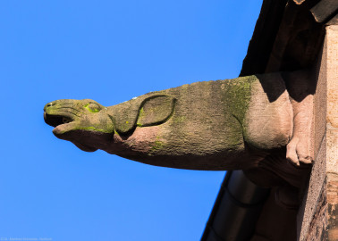 Heidelberg - Heiliggeistkirche - Dach - Nordseite - Blick von Westen auf den 1. Wasserspeier, von Westen aus gezählt (aufgenommen im Juni 2015, am frühen Abend) Heidelberg - Heiliggeistkirche - Dach - Nordseite - Blick von Westen auf den 1. Wasserspeier, von Westen aus gezählt (aufgenommen im Juni 2015, am frühen Abend)