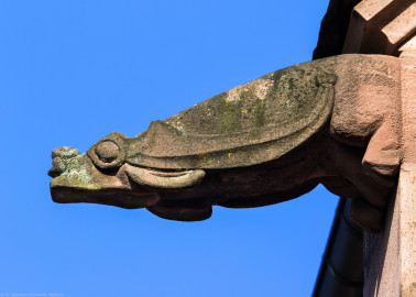 Heidelberg - Heiliggeistkirche - Dach - Nordseite - Blick von Westen auf den 2. Wasserspeier, von Westen aus gezählt (aufgenommen im Juni 2015, am frühen Abend) Heidelberg - Heiliggeistkirche - Dach - Nordseite - Blick von Westen auf den 2. Wasserspeier, von Westen aus gezählt (aufgenommen im Juni 2015, am frühen Abend)