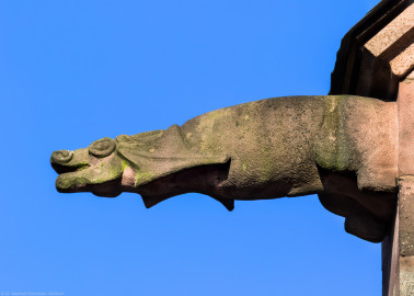Heidelberg - Heiliggeistkirche - Dach - Nordseite - Blick von Westen auf den 3. Wasserspeier, von Westen aus gezählt (aufgenommen im Juni 2015, am frühen Abend) Heidelberg - Heiliggeistkirche - Dach - Nordseite - Blick von Westen auf den 3. Wasserspeier, von Westen aus gezählt (aufgenommen im Juni 2015, am frühen Abend)