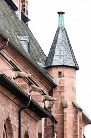 Heidelberg - Heiliggeistkirche - Aussen / Nord - Blick von Nordosten auf die Nordfassade, den Turmaufgang und die Wasserspeier (aufgenommen im September 2015, am späten Vormittag) Heidelberg - Heiliggeistkirche - Aussen / Nord - Blick von Nordosten auf die Nordfassade, den Turmaufgang und die Wasserspeier (aufgenommen im September 2015, am späten Vormittag)