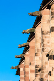 Heidelberg - Heiliggeistkirche - Dach - Südseite - Blick von Osten auf alle Wasserspeier (aufgenommen im Oktober 2015, am Vormittag) Heidelberg - Heiliggeistkirche - Dach - Südseite - Blick von Osten auf alle Wasserspeier (aufgenommen im Oktober 2015, am Vormittag)