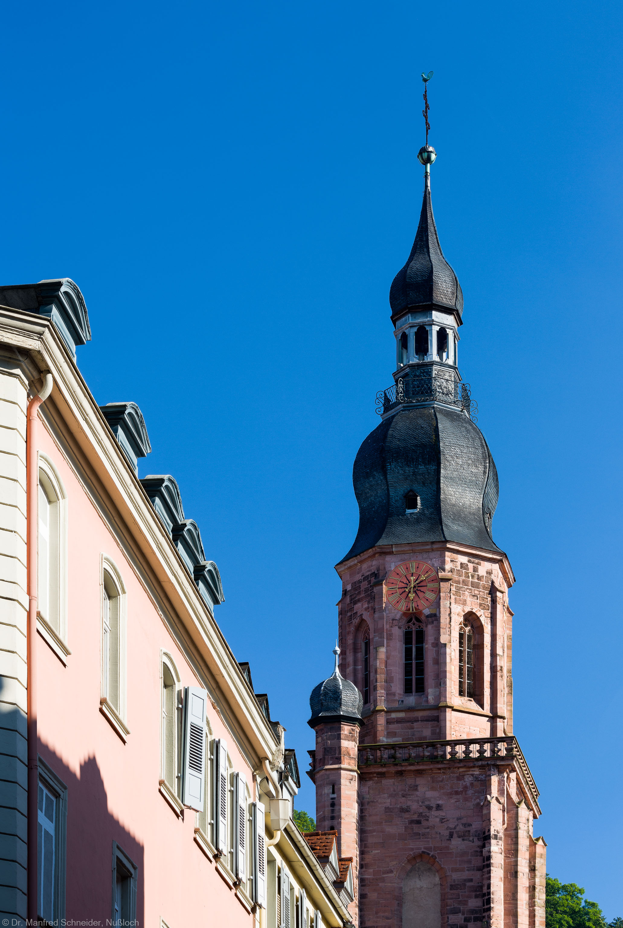 Heidelberg - Heiliggeistkirche - Aussen / Nord - Blick vom Neckar an der Haspelgasse auf den Turm am späteren Nachmittag (aufgenommen im Juli 2013, am frühen Abend)