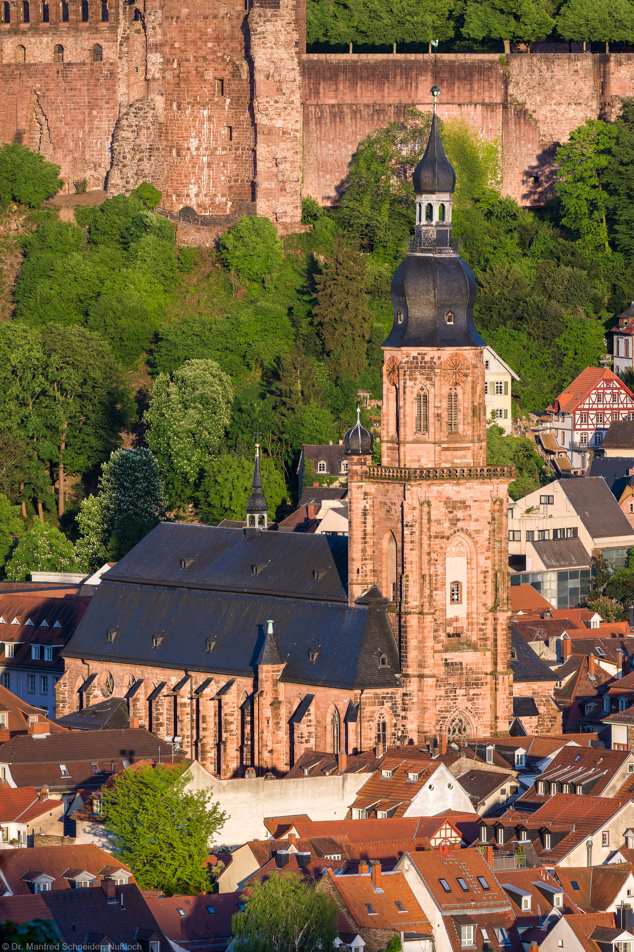Heidelberg - Heiliggeistkirche - Aussen / Nordwest - Blick vom Philosophenweg auf die Nordwestseite (aufgenommen im Mai 2015, am Abend)