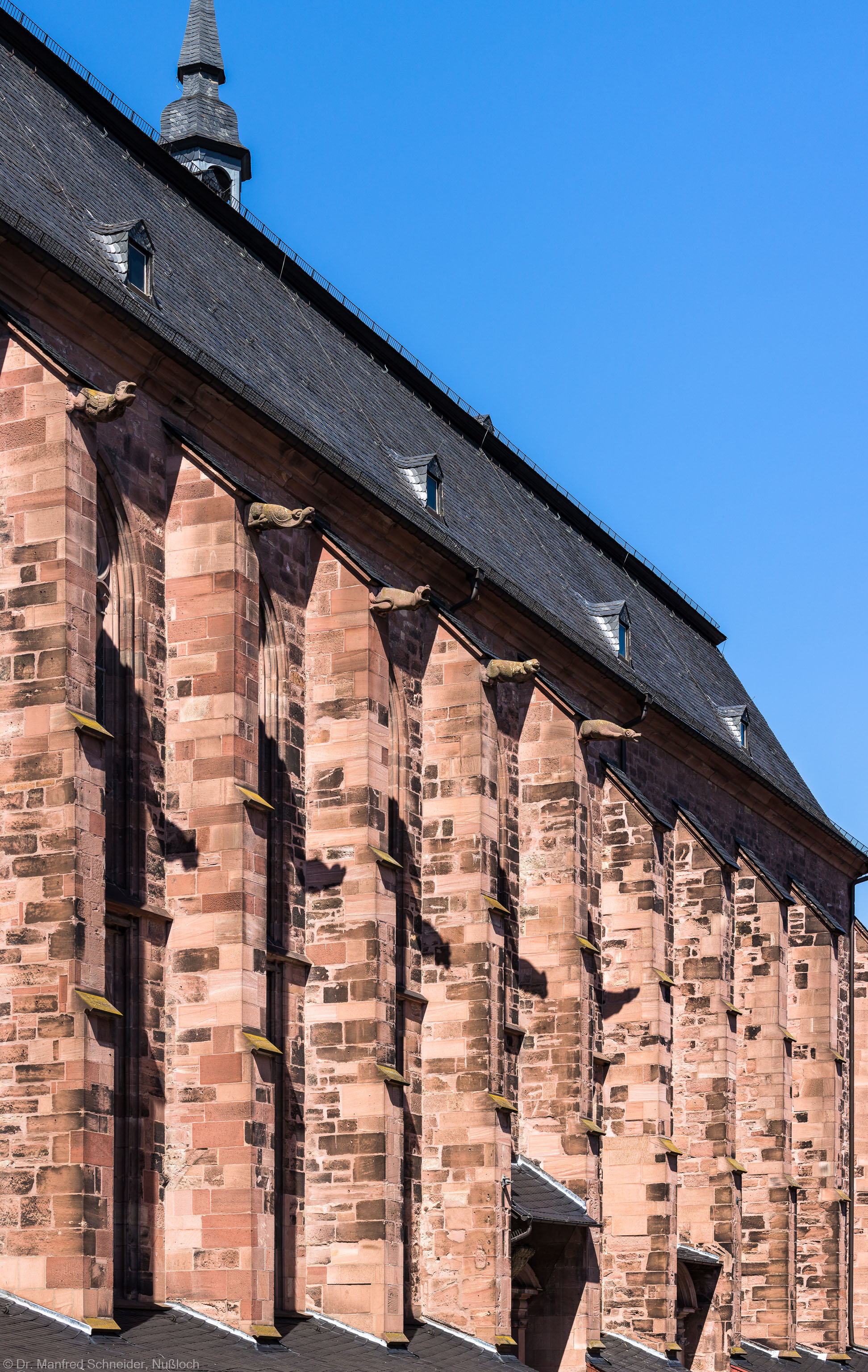 Heidelberg - Heiliggeistkirche - Südseite - Blick von der westlichen Hauptstraße auf die Strebepfeiler (aufgenommen im Juli 2015, am späten Nachmittag)