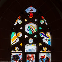 Heidelberg - Heiliggeistkirche - Nordschiff - 6. Joch, von Westen aus gezählt - Maßwerk des Fensters "Schöpfungsgeschichte - Der Baum der Erkenntnis" von Hella De Santarossa (aufgenommen im Oktober 2015, am späten Vormittag)
